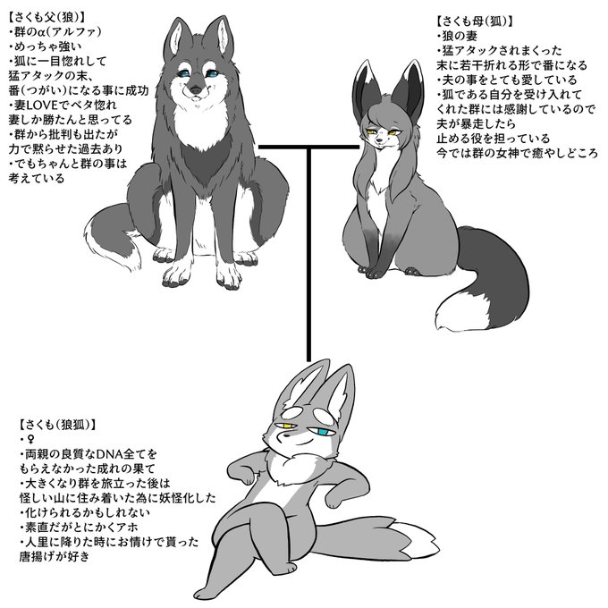 家系図を手直し 