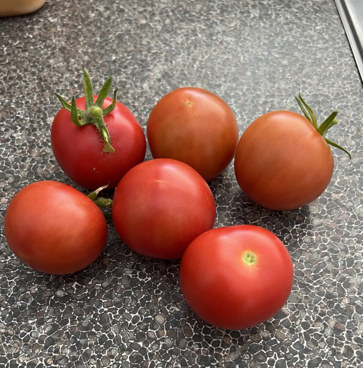 Iris Shackleton tweet media