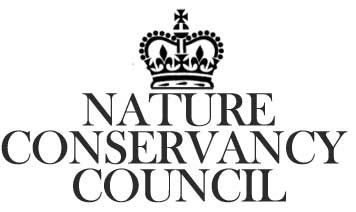 Steven Falk tweet media