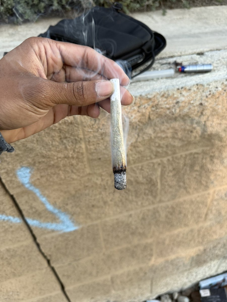 KushKing💨 tweet media