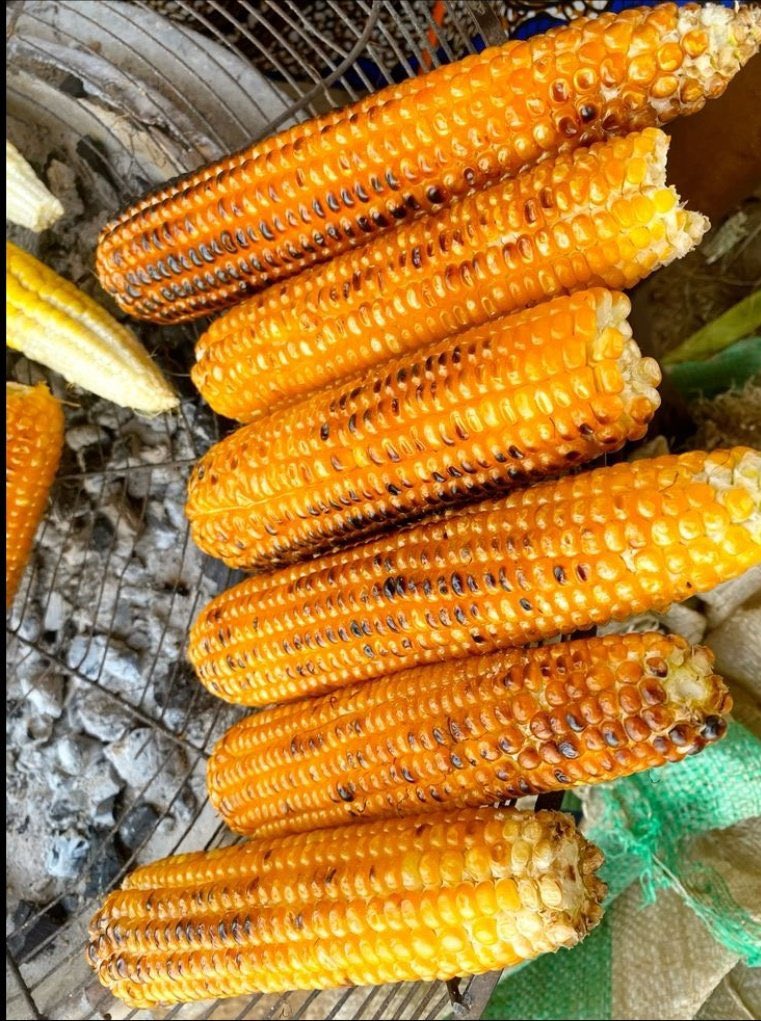 Prof. Eleniyan (EG)☎️ tweet media