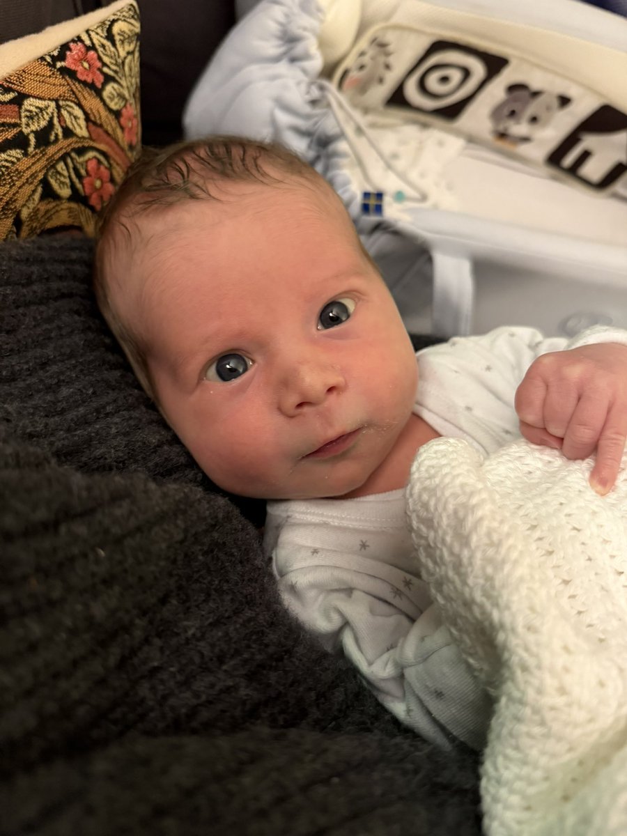 A delightful reading companion. https://t.co/C9ywotYD8i