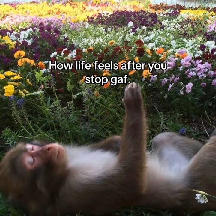 Slayed 🗡 tweet media