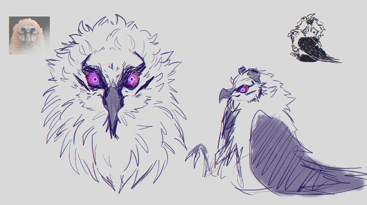 Assion Pakey - 🎨 tweet media