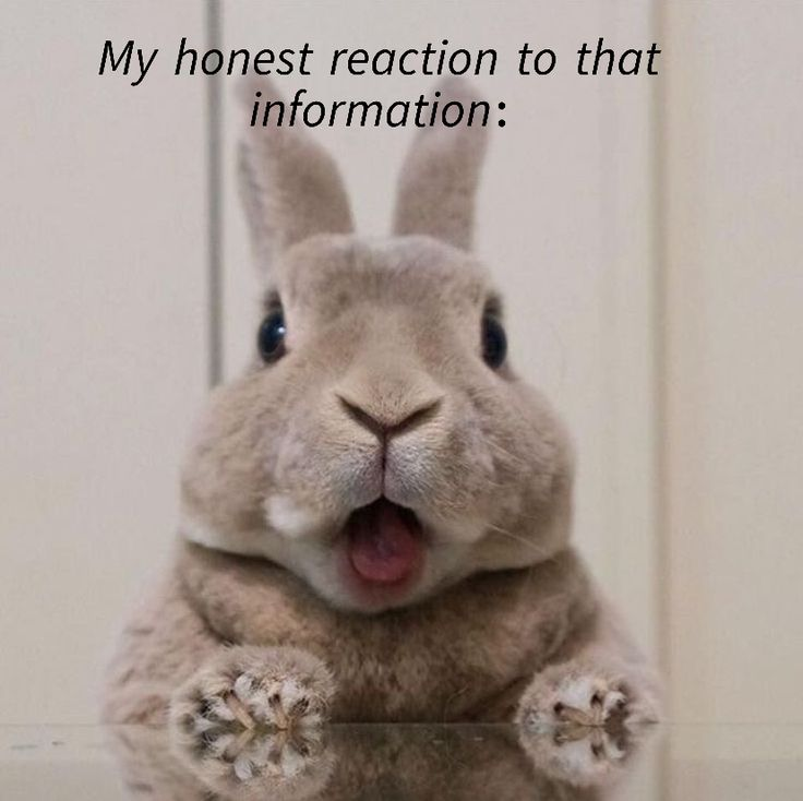 M8 tokameite tweet media