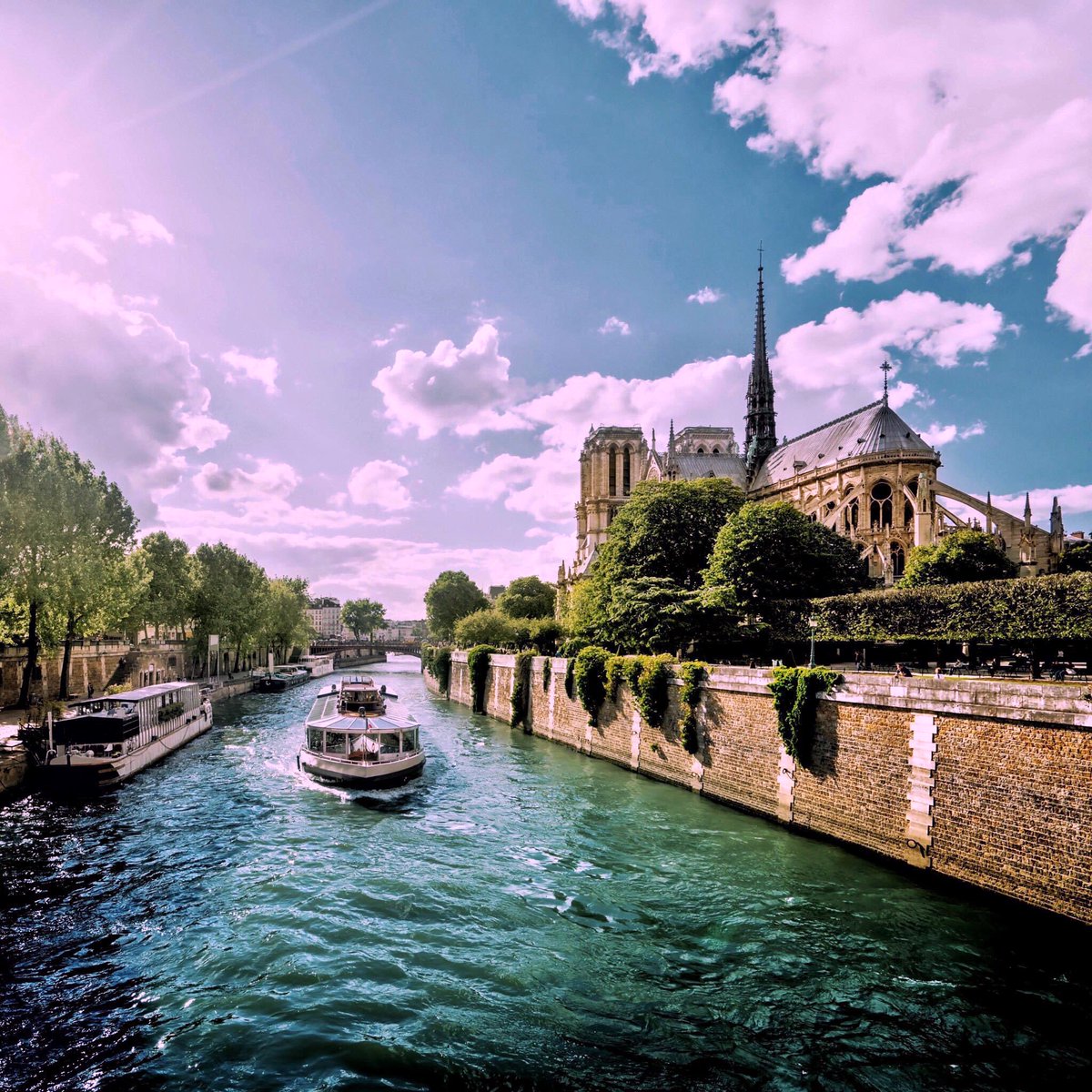 Daniel Lara tweet media