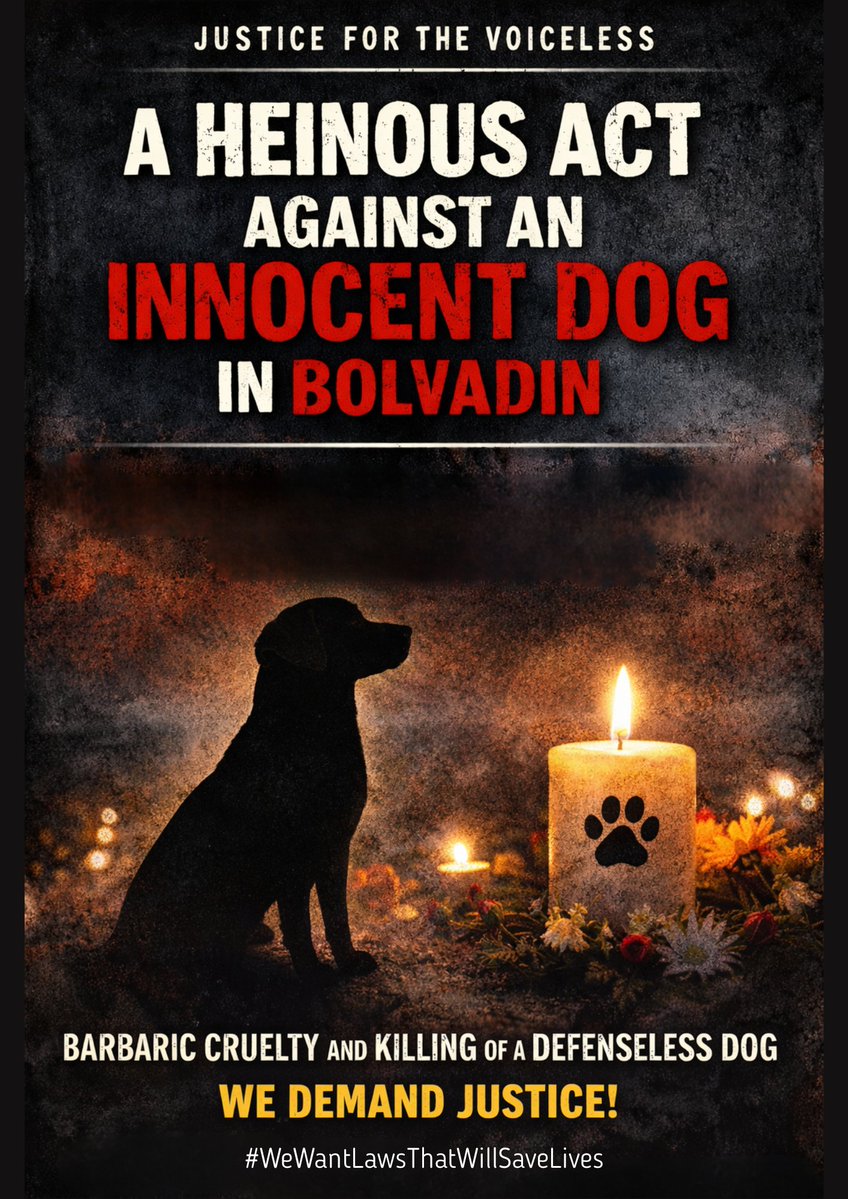 DogDeskAction's tweet image. A heinous act against an innocent dog in Bolvadin has shocked the conscience and demands accountability. 

Animals cannot speak for themselves we must be their voice.

Read more ⬇️ dogdeskanimalaction.co.uk/p/a-life-cut-s…

#JusticeForAnimals #ProtectTheVoiceless #WeWantLawsThatWillSaveLives
