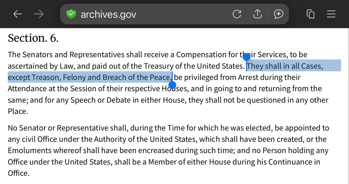 ToddEm114's tweet image. Nadler‘s comments exceed the protection of the Speech and Debate Clause as they incite a breach of the peace. @DOJCrimDiv @AGPamBondi