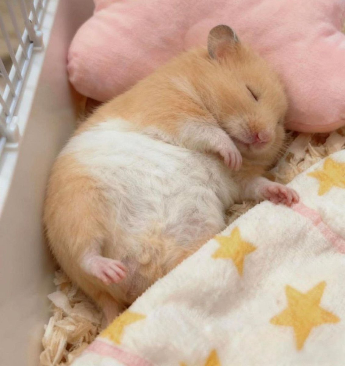 Me: I’m gonna do the task when I get home
Me when I get home: