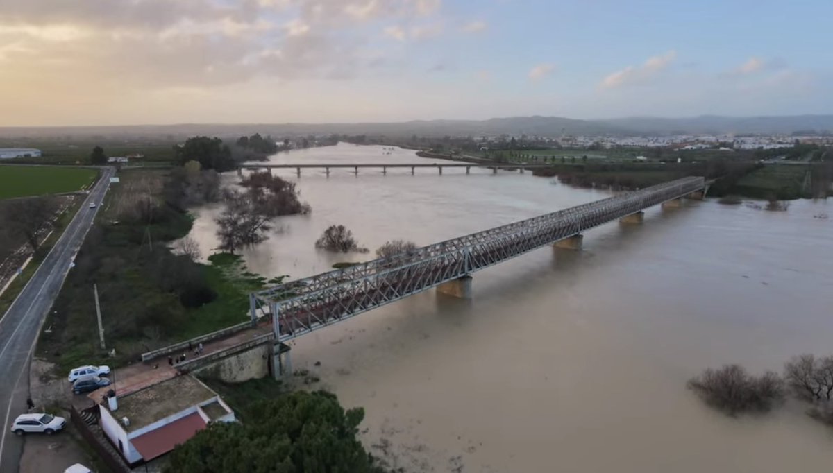 Iribarnegaray93's tweet photo. Lo llamaron Guadalquivir, “río grande”. Siglos después, sigue recordándonos por qué.

📸 Fco. Javier Buenavista.

#LoradelRío https://t.co/jGY4Q8gG7l