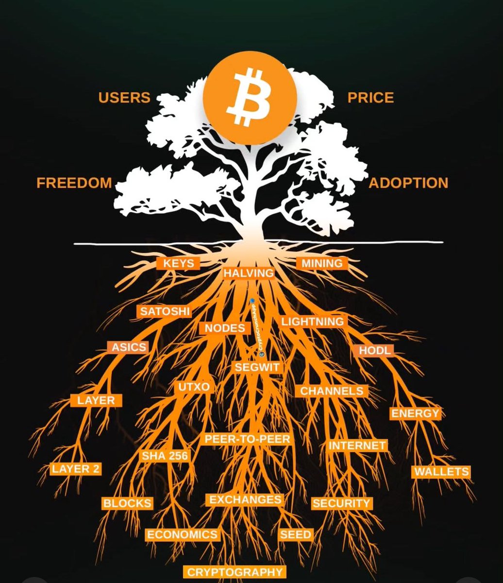 MatheyBTC's tweet image. 🔥 Cuando el temor viene, ir a las bases.
-&amp;gt; Bitcoin no se sostiene por el precio.
👇 El precio se sostiene por esto. 
#keys #nodes #mining #halving #UTXO #hash