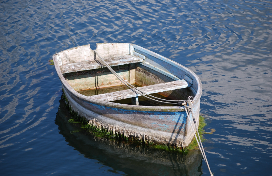 Nuclear Herbs tweet media