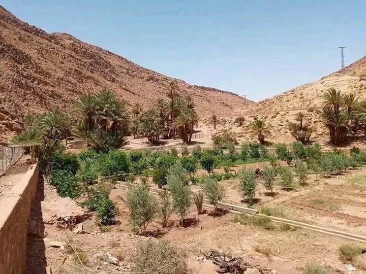 Fathi Toha tweet media