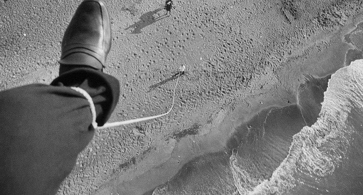 Ehsan Marian tweet media