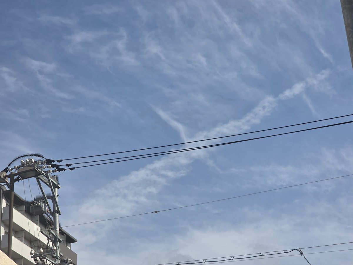 NSYK10289's tweet photo. sun pillar

A sign of good fortune♡

#papercrane  
#sky
#crane https://t.co/KJf6wcQlqx