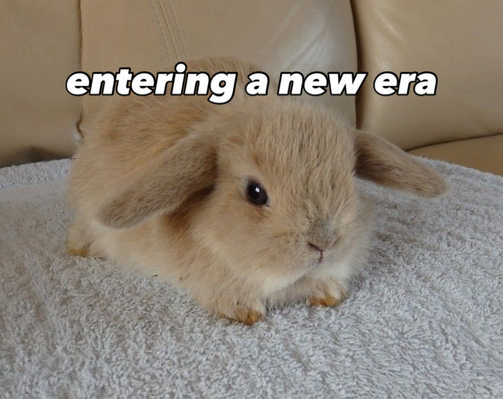 Bunnies's tweet photo. https://t.co/SaLixxtMq5