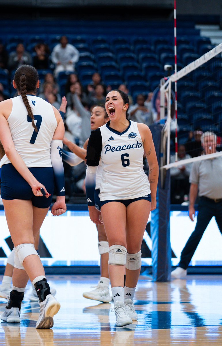 Saint Peter's Volleyball tweet media