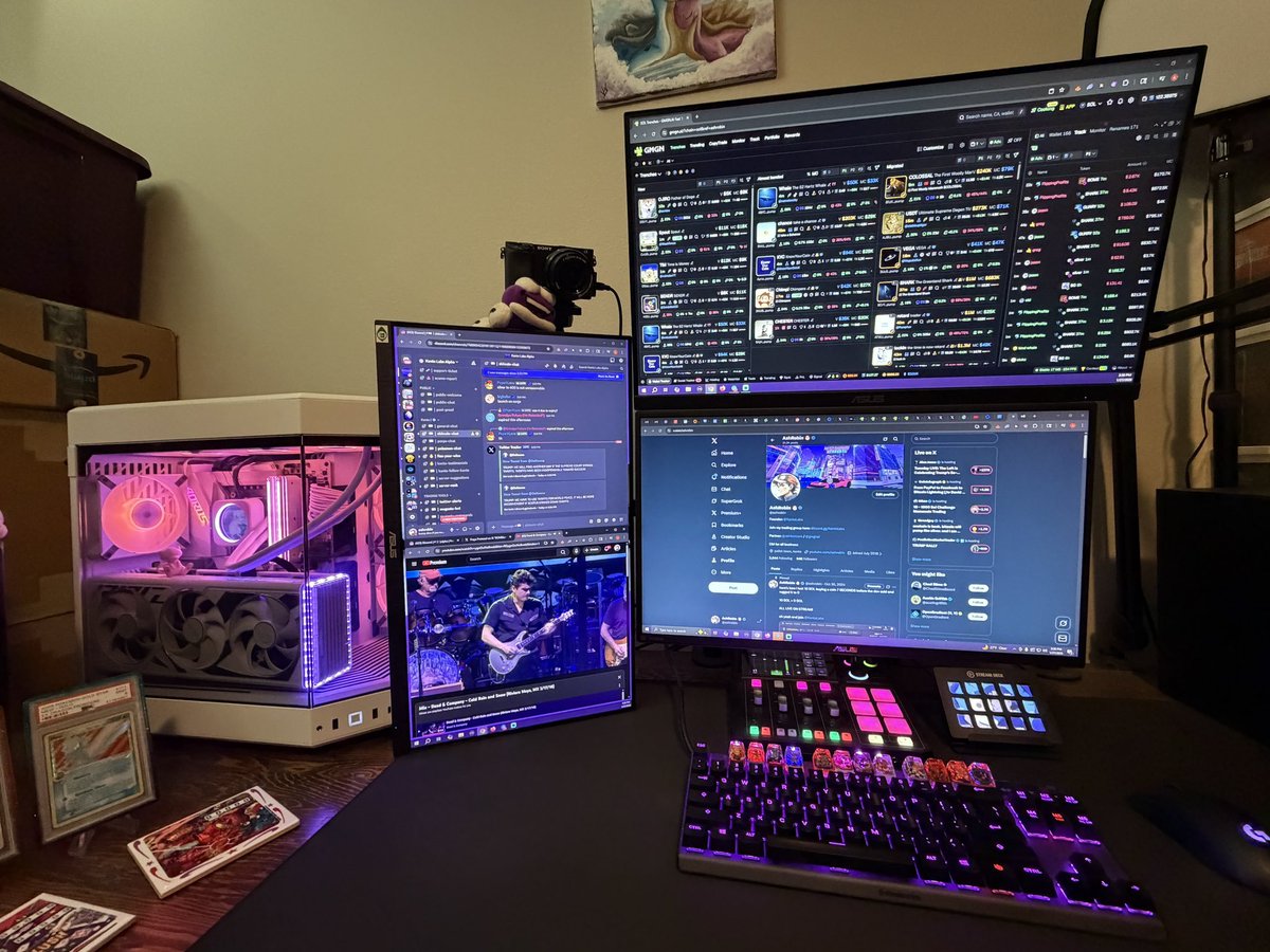 AshRobin 🐶 tweet media