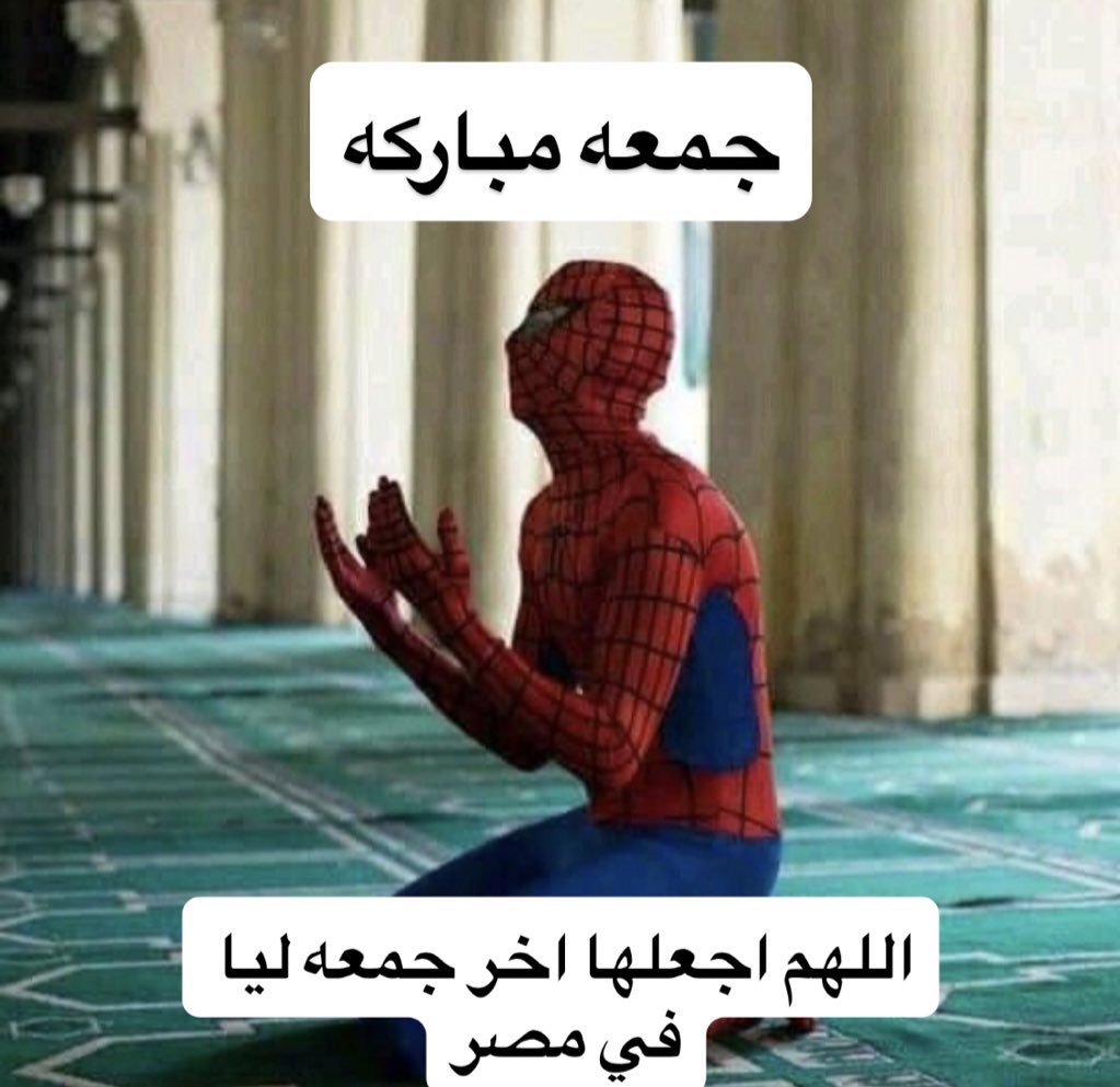 العنكبوت النونو خطفت قلبه عنكبوته (@i1911_) on Twitter photo 