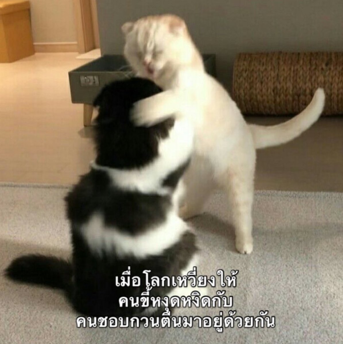 ความชิบหายจึงบังเกิด5555555555