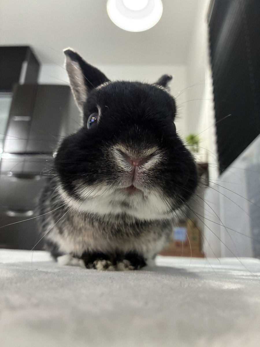 𝓵𝓸𝓿𝓮𝓵𝔂な漢