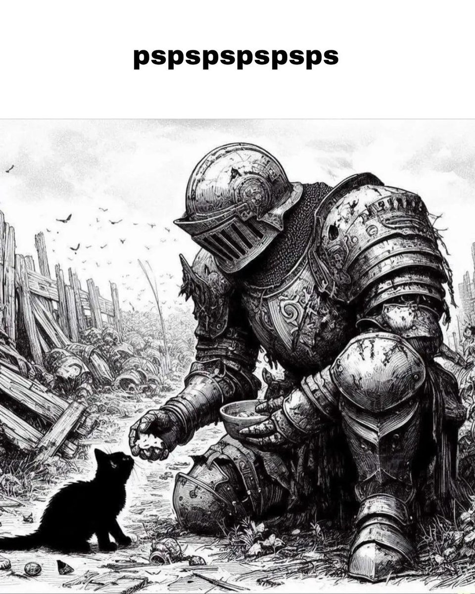 catsdotjpg's tweet image. 