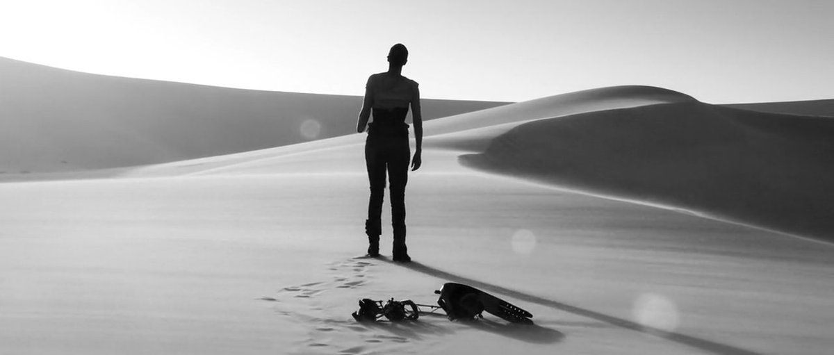 Mad Max: Fury Road (2015)  
Black &amp; Chrome Edition  

dir. George Miller