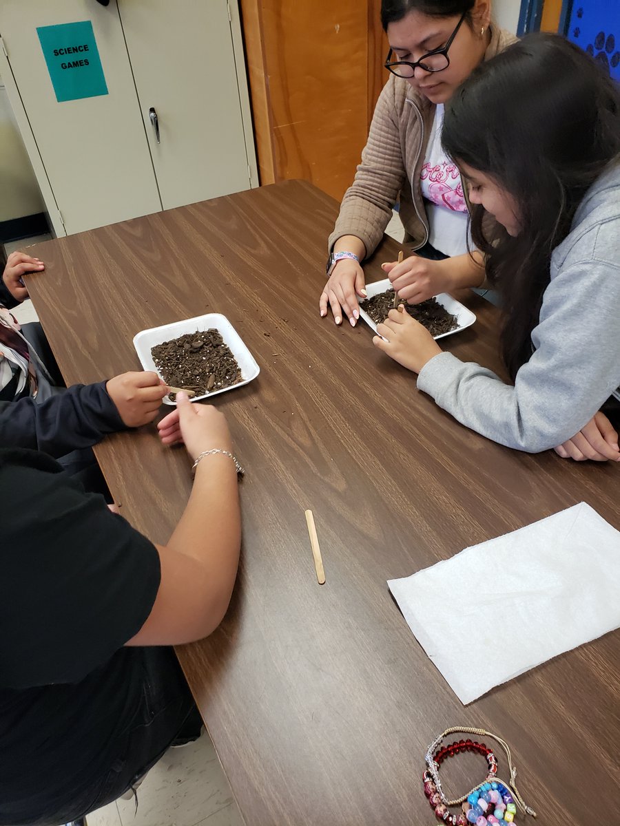 NISDElemSS's tweet photo. This may just look like dirt and a bell pepper, but 5th graders at @NISDGlass are doing  a hands-on Social Studies lesson focused on scientific technology. They explored the importance of inventions like the steel plow and the cotton gin. @NISD https://t.co/4rcSD73AF4