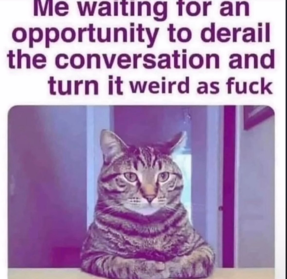 northstardoll's tweet image. 