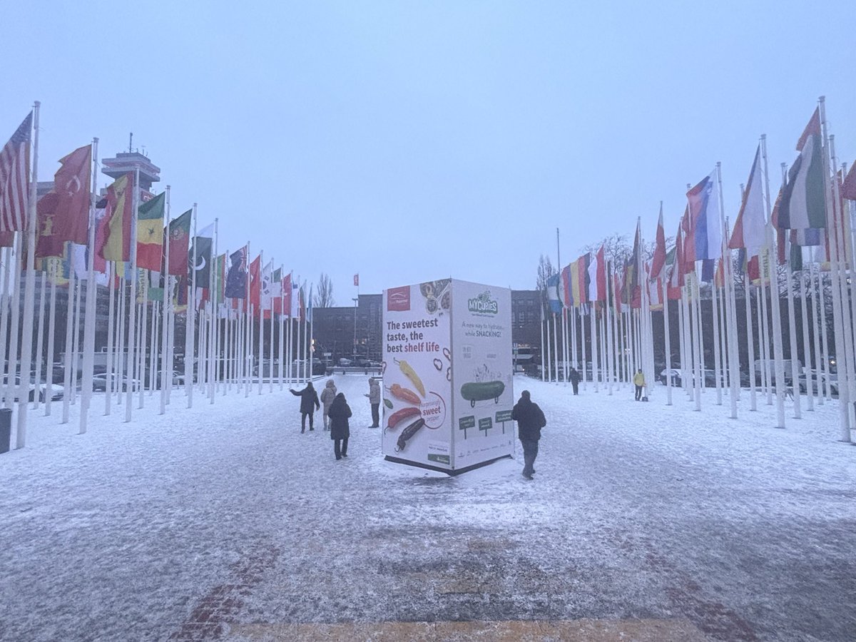 Berlín. Eso es lo que está pasando.

#FruitLogistica2026 
#messe