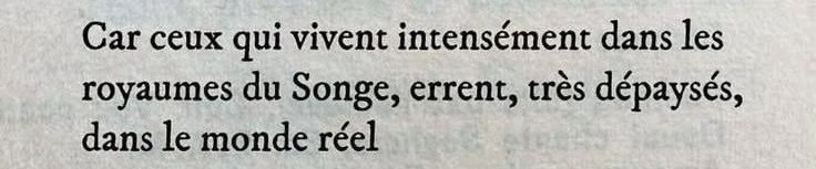 conatus____'s tweet image. 