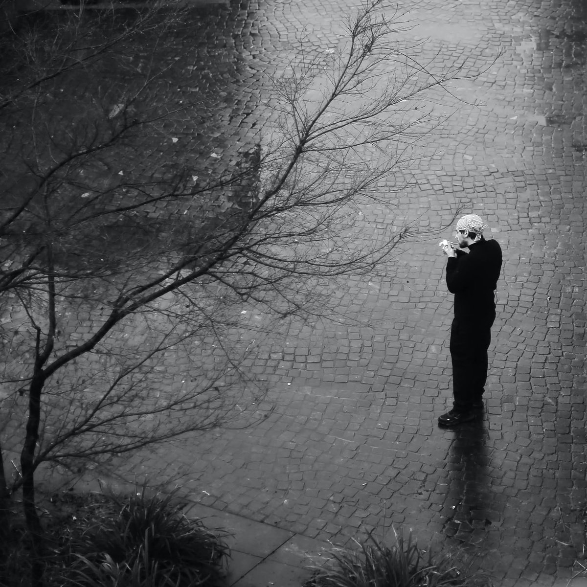 pascal colin tweet media