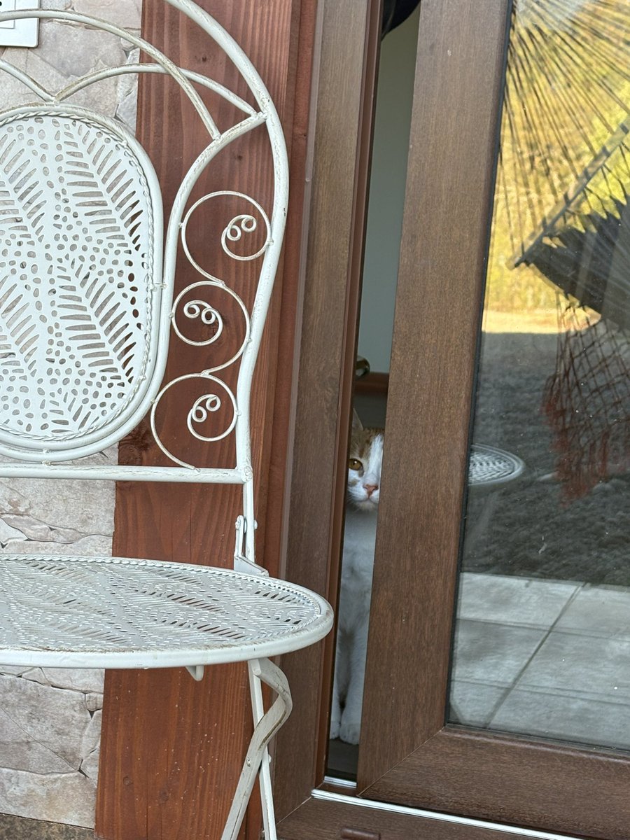 lo siento hija, el mundo es cruel afuera