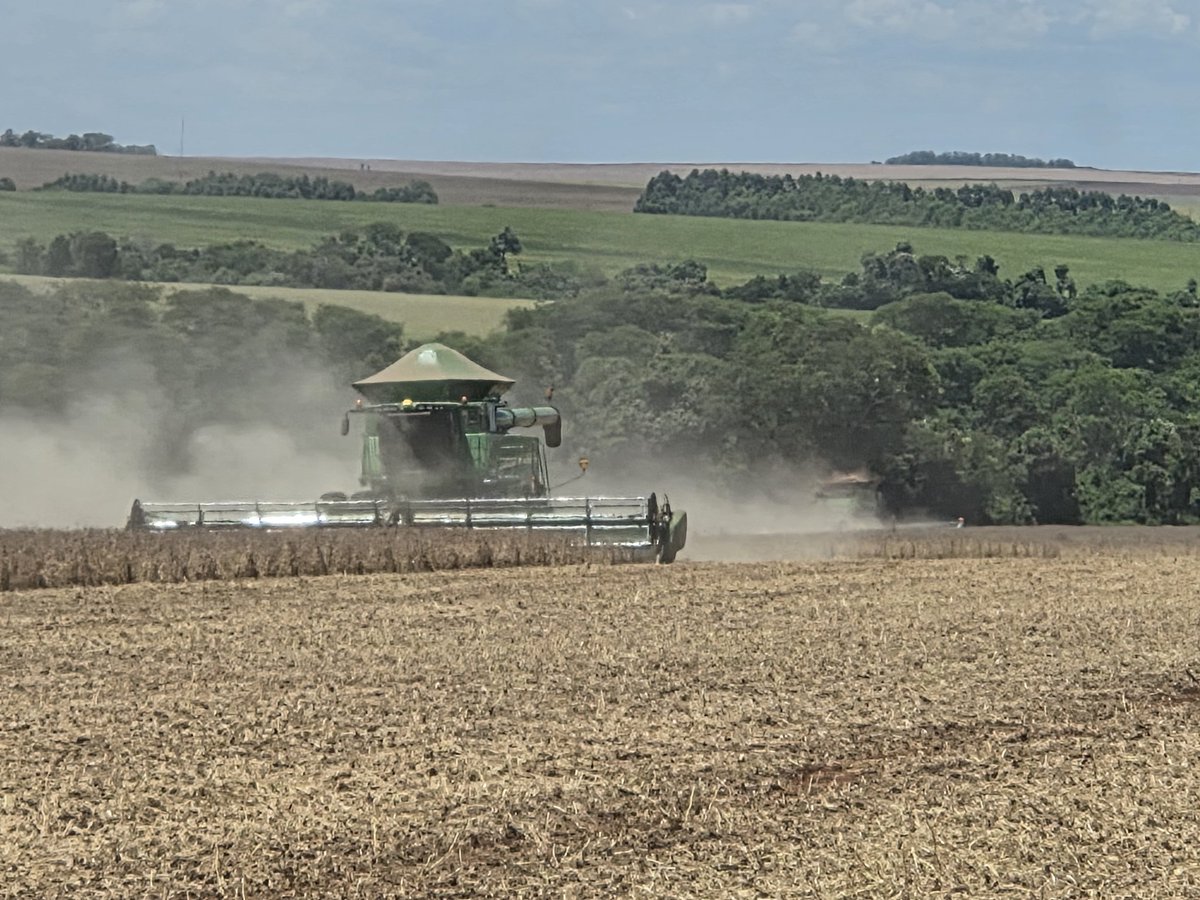 Hector Cristaldo tweet media