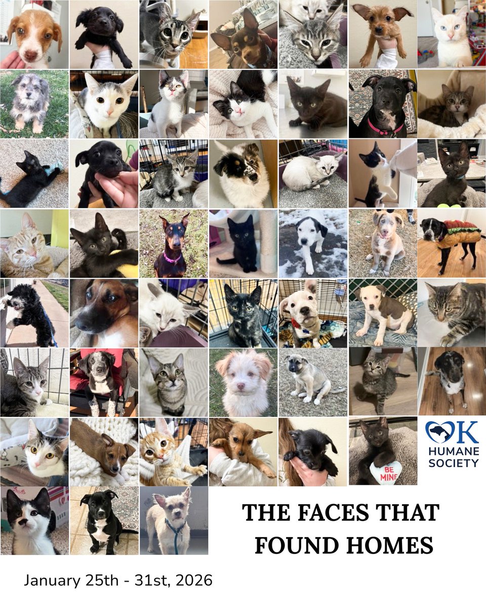 okhumane's tweet image. We had 56 adoptions last week! (Some pets not present for picture day. 😉) Congrats to these sweet faces and their adoptive families! 🎉