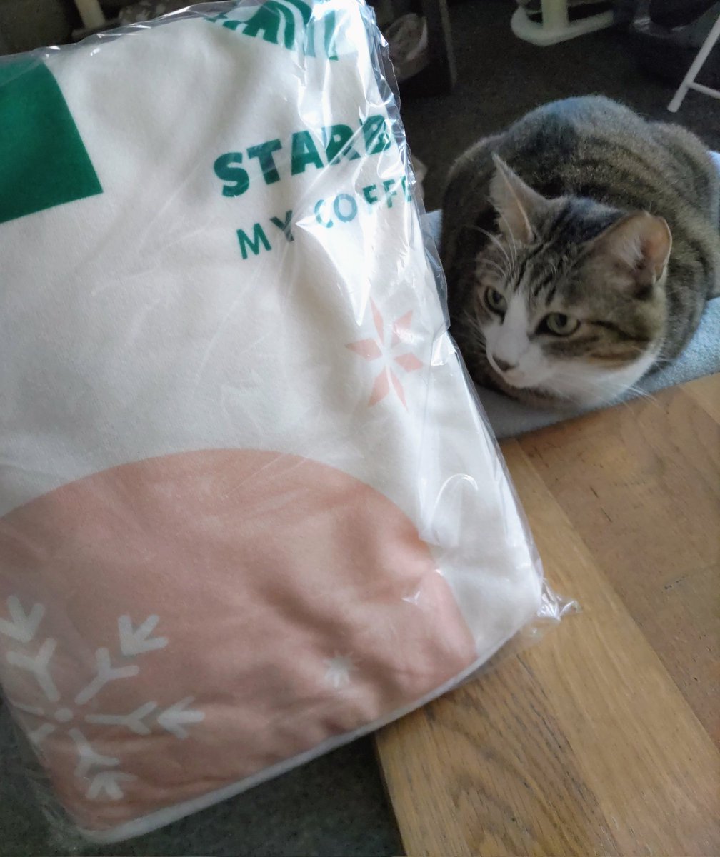 にゃんきち (@nyankichi62) / Posts / X