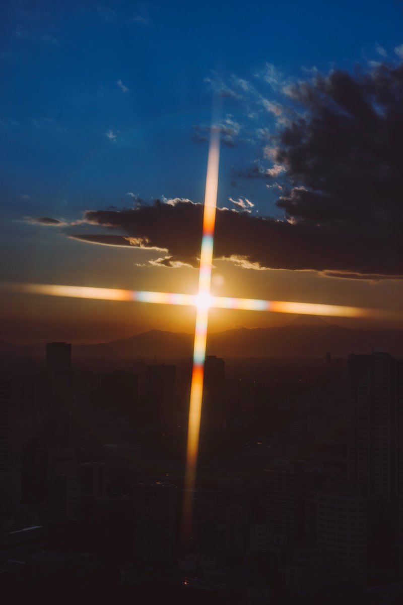 🕊 𓂃𓈒 𓂂𓏸 (@asuka_photo30) on Twitter photo 