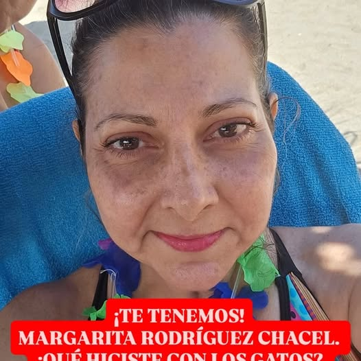 La Manada Miaucito se une a la exigencia hacia MARGARITA RODRIGUEZ CHACEL.

¡DE LA CARA! ¡RESPONDA POR LOS 31 GATOS BEBÉS QUE BAJO ENGAÑO LOGRÓ QUE VARIOS RESCATISTAS SE LOS DIERAN EN ADOPCIÓN!

#MargaritaDondeEstanLosGatitos

<a href="/MinpublicoVEN/">Ministerio Público venezolano</a>