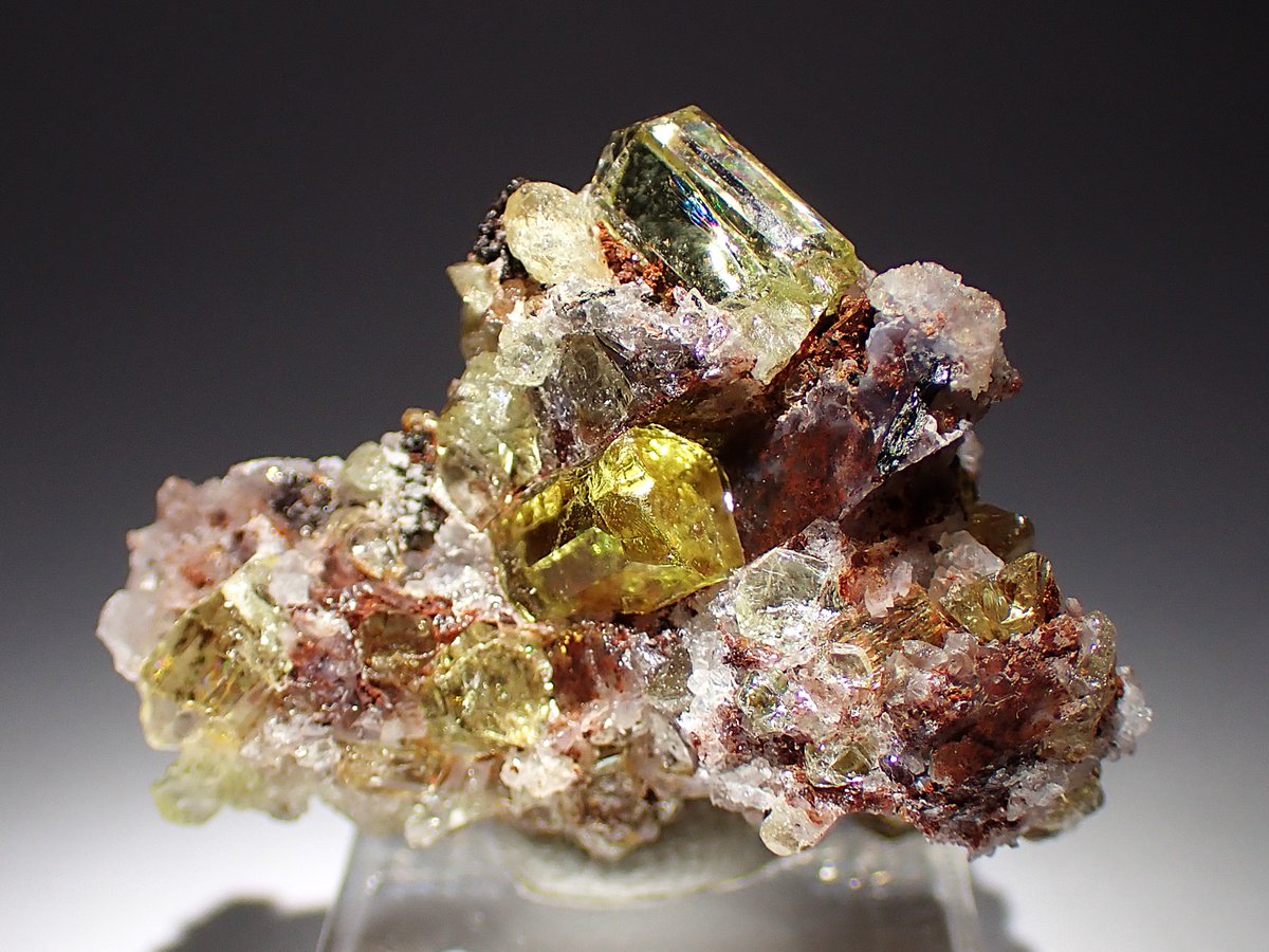 Fluorapatite [フッ素燐灰石] Cerro de Mercado Mine, Victoria de