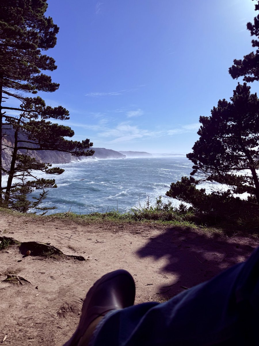 Dale Stark tweet media