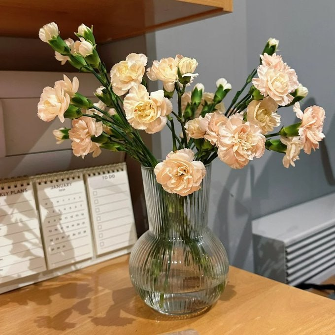 Hazel_h229's tweet photo. "Flowers be like 'Show me some sun and watch me bloom like a botanical boss!' 🌸✨ #SpringVibes #FlowerPower" https://t.co/7SX17yq6Lw