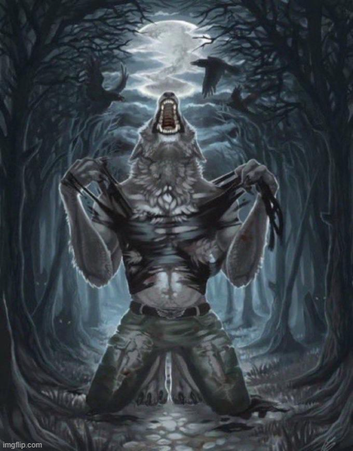 Christopher067 tweet media