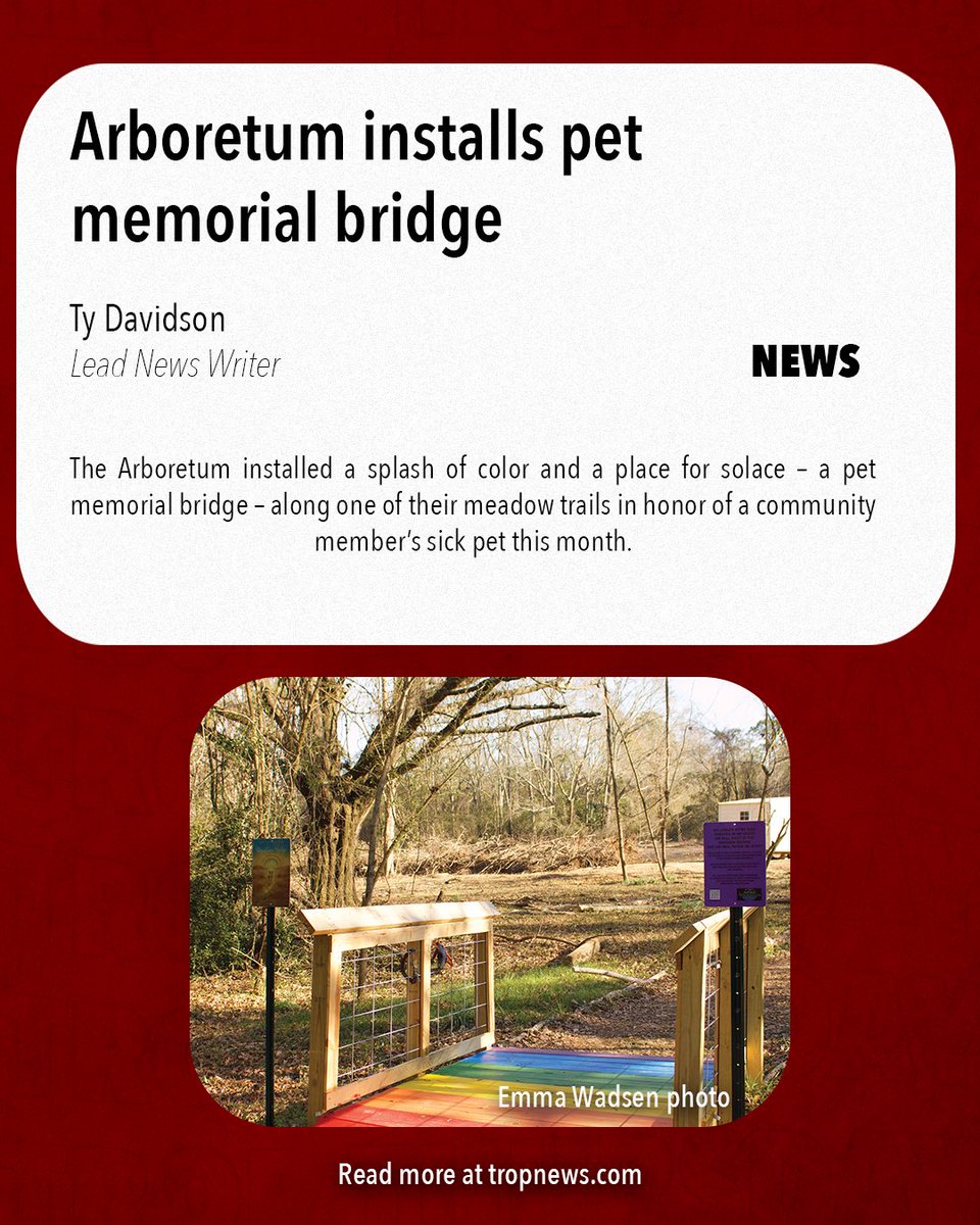 Tropolitan tweet media