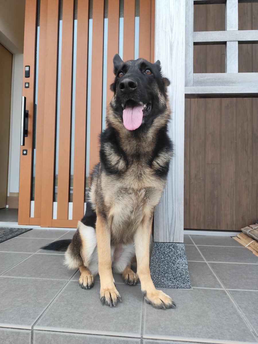 今日は金曜日だよ！