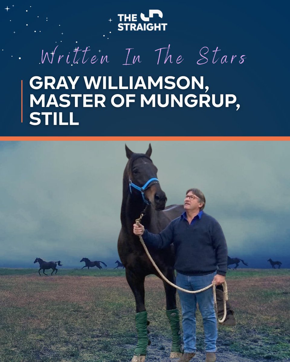 The Straight | Racing. Wagering. Breeding. tweet media