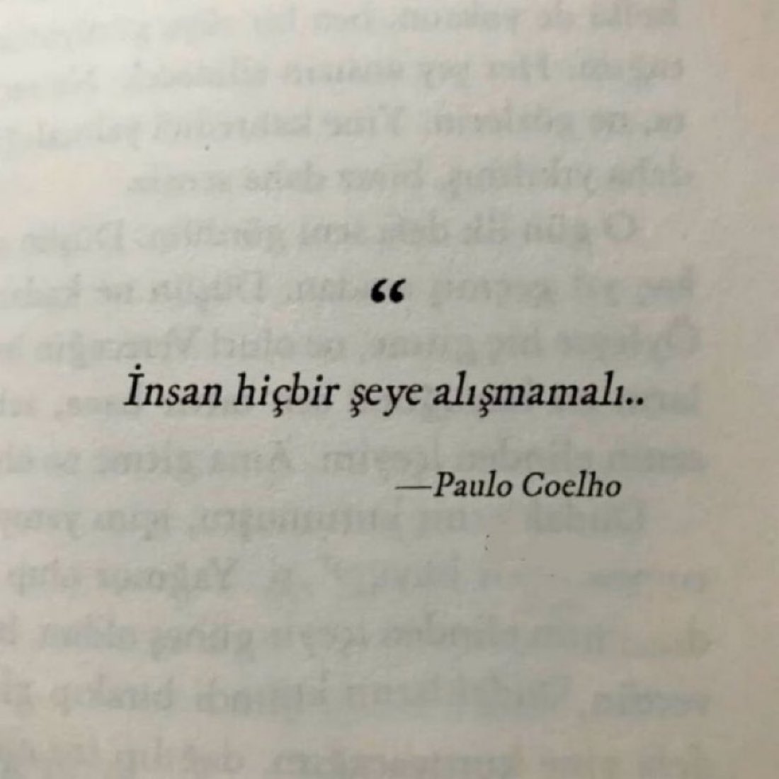 söz gülü tweet media