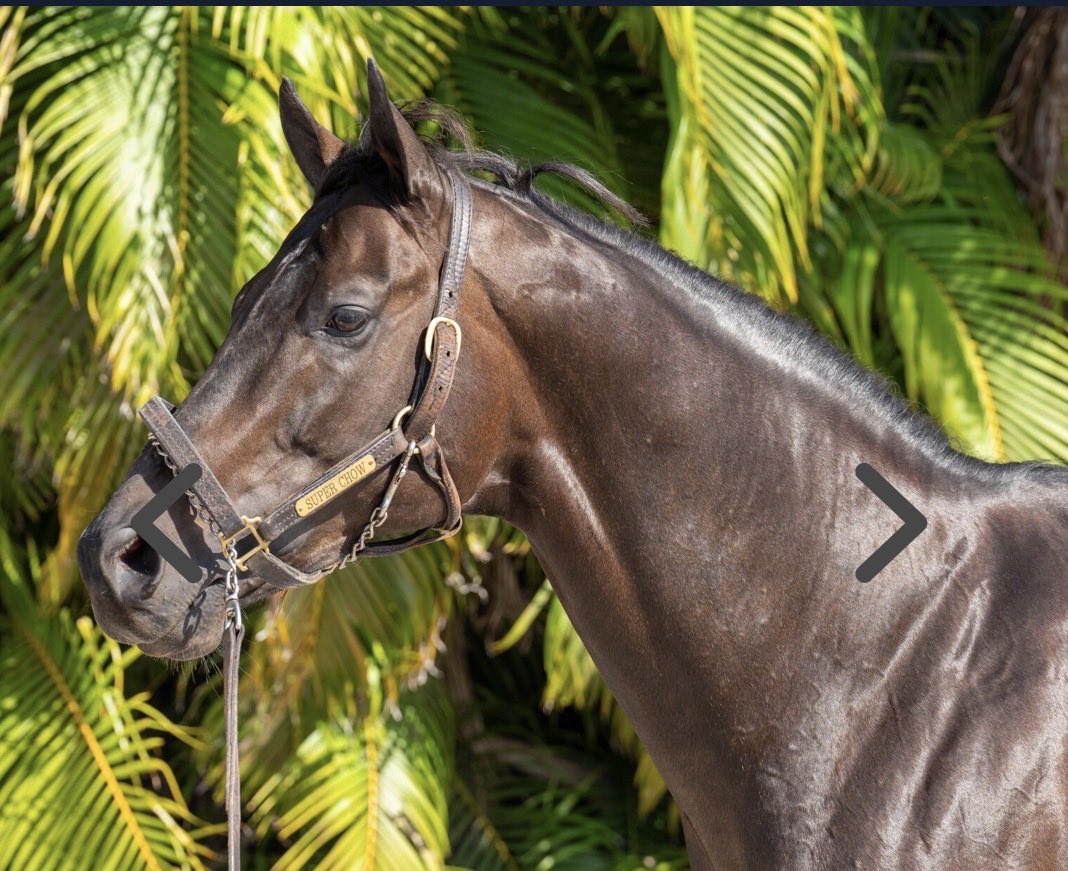 Delgado Racing tweet media