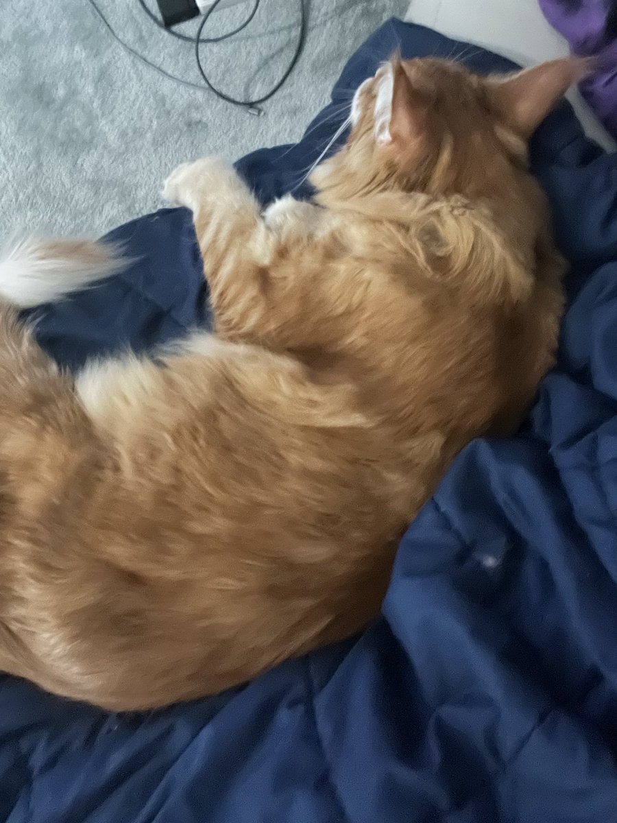 しんじさん (@Shinjisan_XD) / Posts and Replies / X