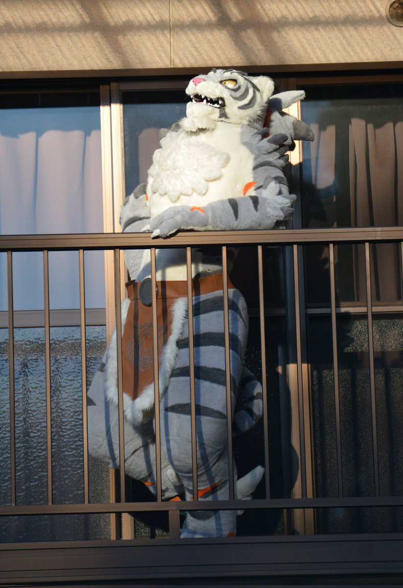 #FursuitFriday
お正月にシロくんを着せてもらったときの写真〜！