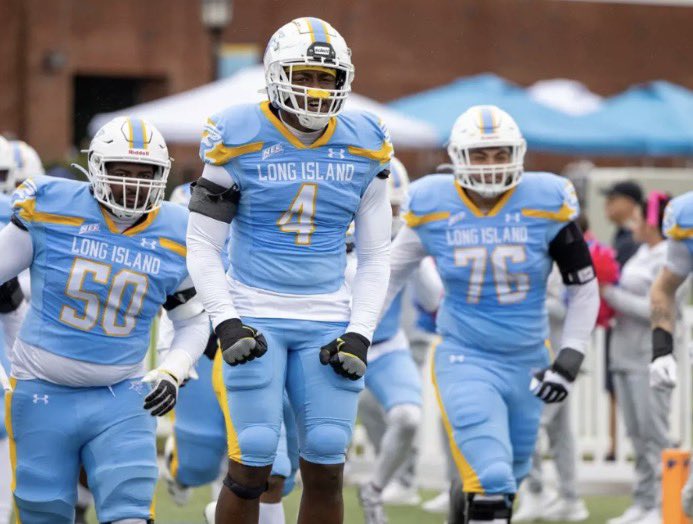 Noel Taylor tweet media